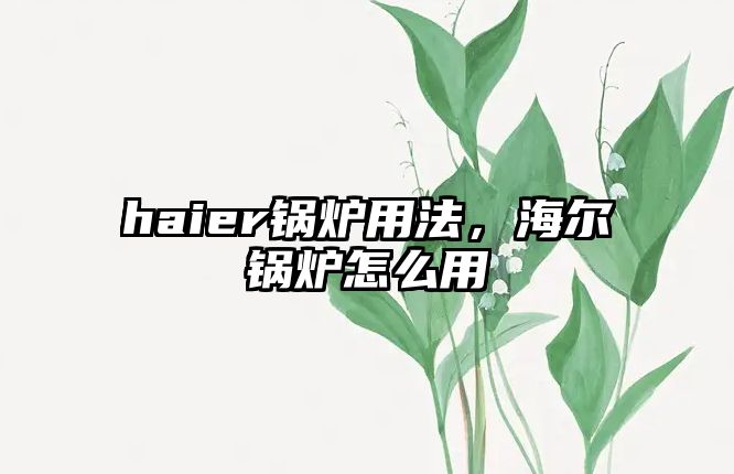 haier鍋爐用法，海爾鍋爐怎么用