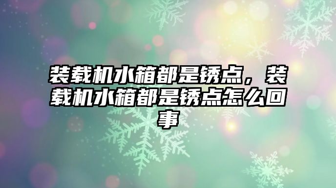 裝載機水箱都是銹點，裝載機水箱都是銹點怎么回事