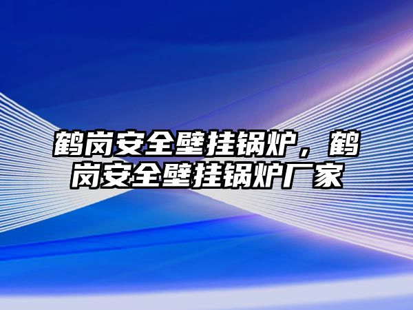 鶴崗安全壁掛鍋爐，鶴崗安全壁掛鍋爐廠家