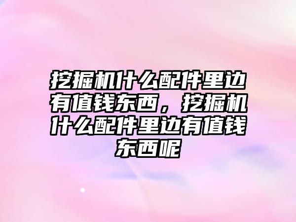 挖掘機(jī)什么配件里邊有值錢東西，挖掘機(jī)什么配件里邊有值錢東西呢