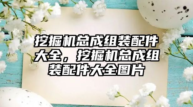 挖掘機總成組裝配件大全，挖掘機總成組裝配件大全圖片