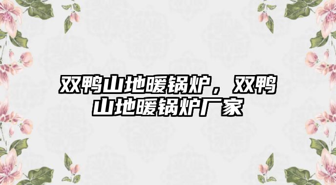 雙鴨山地暖鍋爐，雙鴨山地暖鍋爐廠家