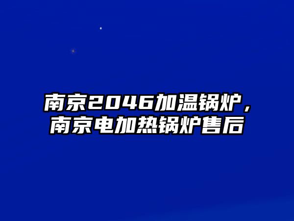 南京2046加溫鍋爐，南京電加熱鍋爐售后