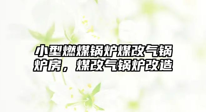 小型燃煤鍋爐煤改氣鍋爐房，煤改氣鍋爐改造