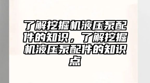 了解挖掘機(jī)液壓泵配件的知識，了解挖掘機(jī)液壓泵配件的知識點(diǎn)