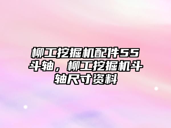 柳工挖掘機(jī)配件55斗軸，柳工挖掘機(jī)斗軸尺寸資料