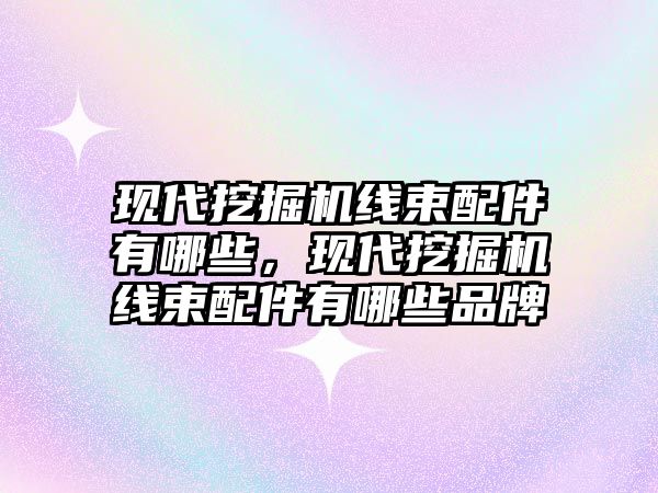 現(xiàn)代挖掘機線束配件有哪些，現(xiàn)代挖掘機線束配件有哪些品牌