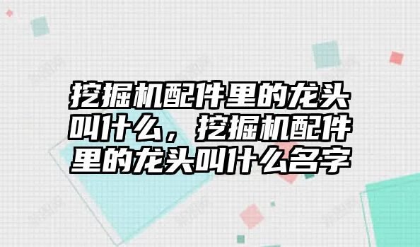 挖掘機(jī)配件里的龍頭叫什么，挖掘機(jī)配件里的龍頭叫什么名字