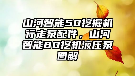 山河智能50挖掘機行走泵配件，山河智能80挖機液壓泵圖解