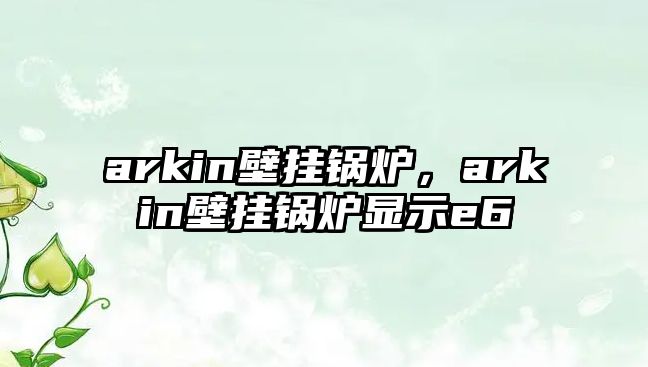 arkin壁掛鍋爐，arkin壁掛鍋爐顯示e6