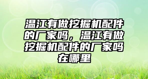 溫江有做挖掘機(jī)配件的廠家嗎，溫江有做挖掘機(jī)配件的廠家嗎在哪里