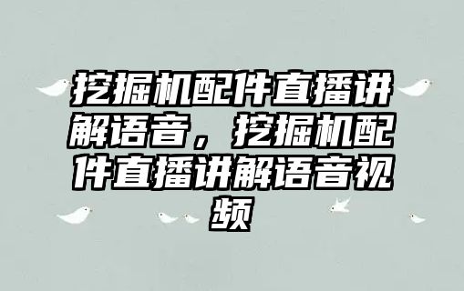 挖掘機(jī)配件直播講解語音，挖掘機(jī)配件直播講解語音視頻