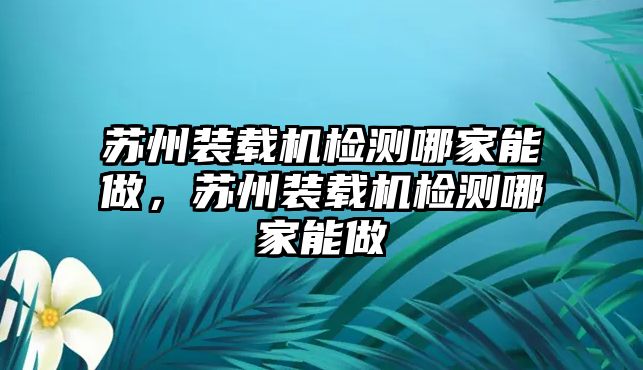 蘇州裝載機檢測哪家能做，蘇州裝載機檢測哪家能做