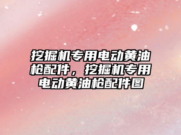 挖掘機專用電動黃油槍配件，挖掘機專用電動黃油槍配件圖