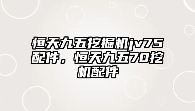 恒天九五挖掘機(jī)jv75配件，恒天九五70挖機(jī)配件