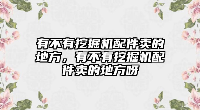 有不有挖掘機(jī)配件賣(mài)的地方，有不有挖掘機(jī)配件賣(mài)的地方呀