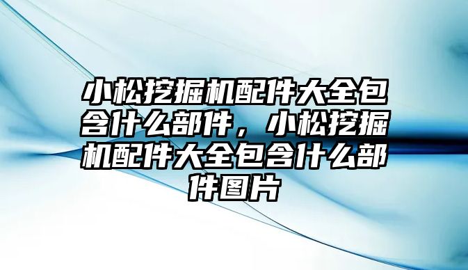 小松挖掘機(jī)配件大全包含什么部件，小松挖掘機(jī)配件大全包含什么部件圖片