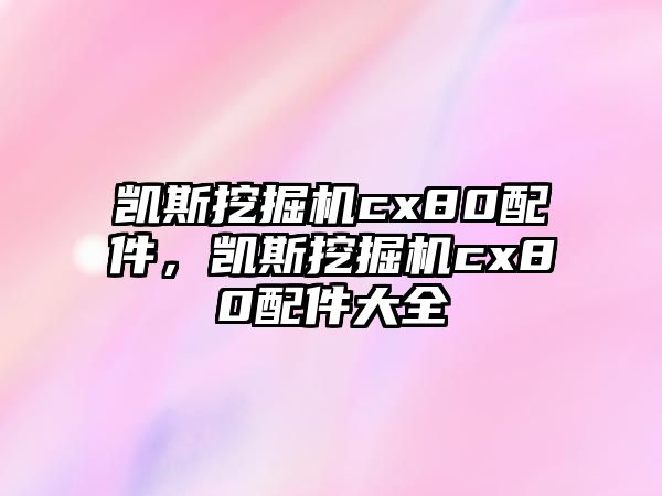 凱斯挖掘機cx80配件，凱斯挖掘機cx80配件大全