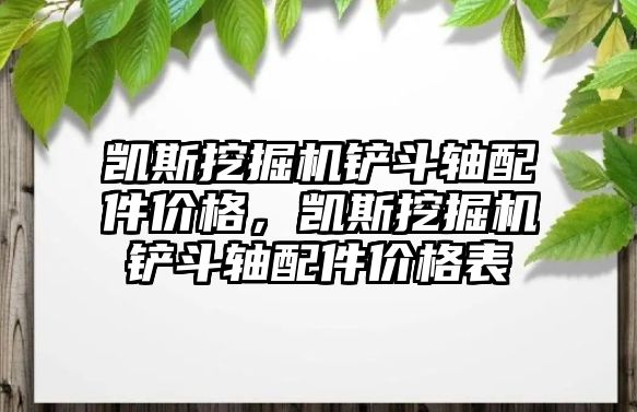 凱斯挖掘機鏟斗軸配件價格，凱斯挖掘機鏟斗軸配件價格表