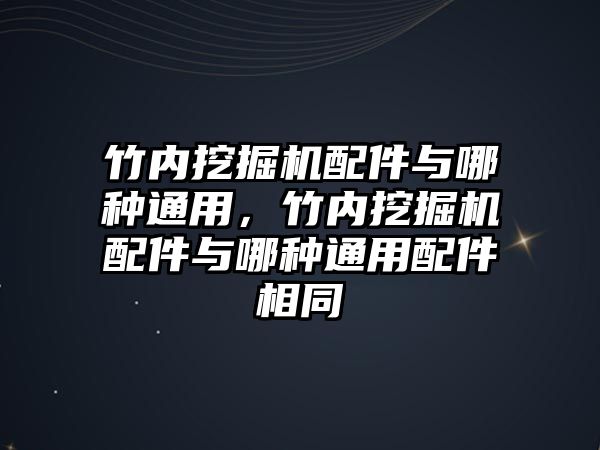 竹內挖掘機配件與哪種通用，竹內挖掘機配件與哪種通用配件相同