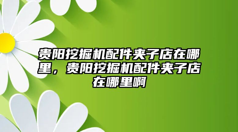 貴陽挖掘機配件夾子店在哪里，貴陽挖掘機配件夾子店在哪里啊