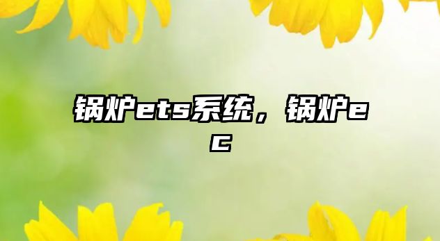 鍋爐ets系統(tǒng)，鍋爐ec