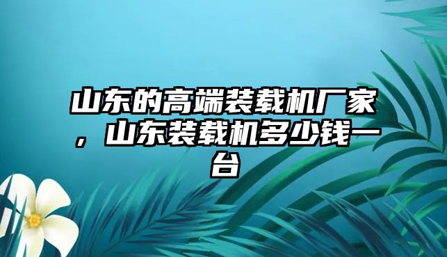 山東的高端裝載機廠家，山東裝載機多少錢一臺