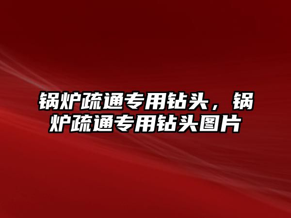 鍋爐疏通專用鉆頭，鍋爐疏通專用鉆頭圖片