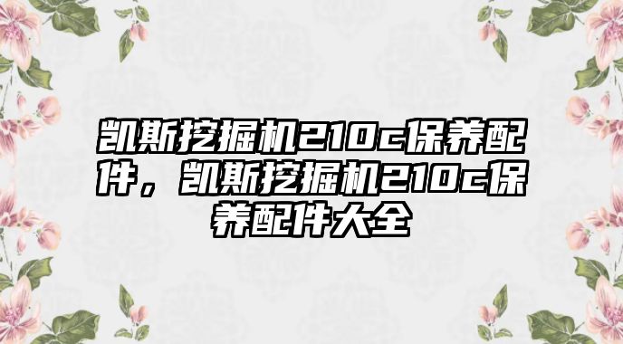 凱斯挖掘機(jī)210c保養(yǎng)配件，凱斯挖掘機(jī)210c保養(yǎng)配件大全