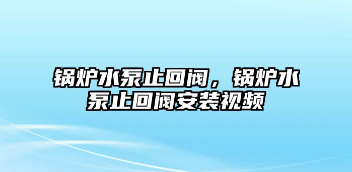 鍋爐水泵止回閥，鍋爐水泵止回閥安裝視頻