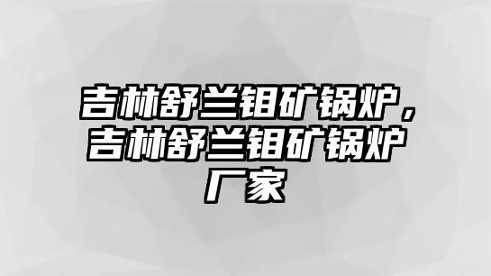 吉林舒蘭鉬礦鍋爐，吉林舒蘭鉬礦鍋爐廠家