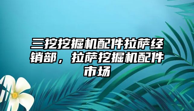 三挖挖掘機配件拉薩經(jīng)銷部，拉薩挖掘機配件市場