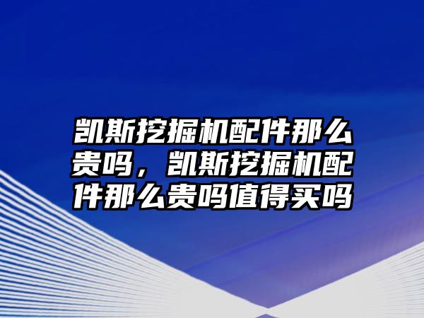 凱斯挖掘機配件那么貴嗎，凱斯挖掘機配件那么貴嗎值得買嗎