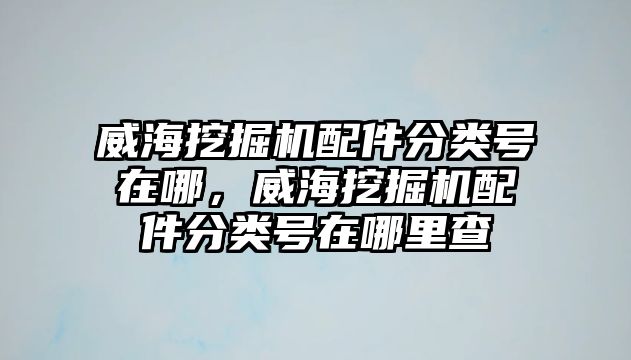 威海挖掘機(jī)配件分類號在哪，威海挖掘機(jī)配件分類號在哪里查