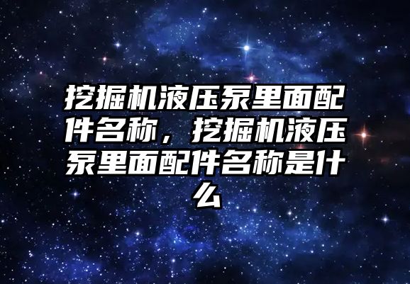 挖掘機液壓泵里面配件名稱，挖掘機液壓泵里面配件名稱是什么