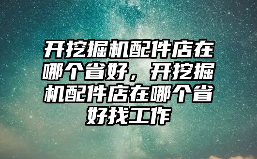 開挖掘機(jī)配件店在哪個(gè)省好，開挖掘機(jī)配件店在哪個(gè)省好找工作