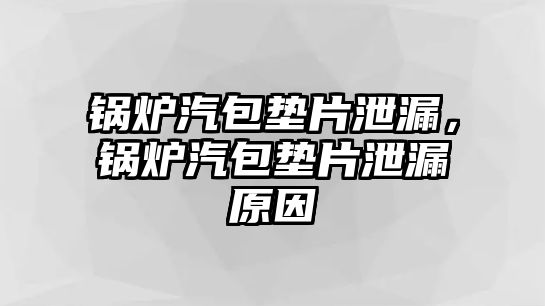 鍋爐汽包墊片泄漏，鍋爐汽包墊片泄漏原因