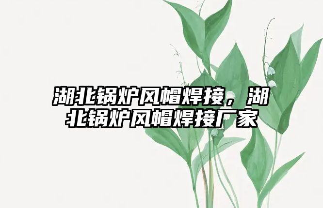 湖北鍋爐風(fēng)帽焊接，湖北鍋爐風(fēng)帽焊接廠家