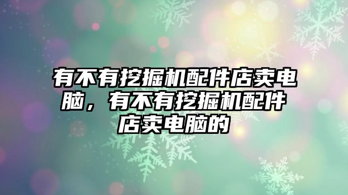 有不有挖掘機(jī)配件店賣電腦，有不有挖掘機(jī)配件店賣電腦的