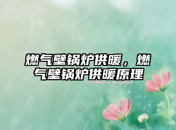 燃氣壁鍋爐供暖，燃氣壁鍋爐供暖原理