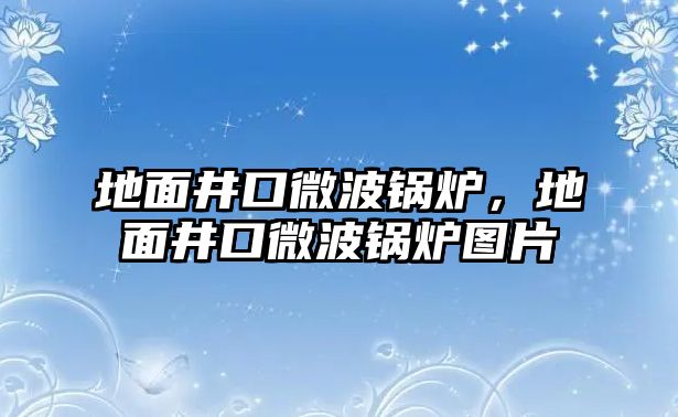 地面井口微波鍋爐，地面井口微波鍋爐圖片