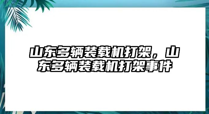 山東多輛裝載機打架，山東多輛裝載機打架事件