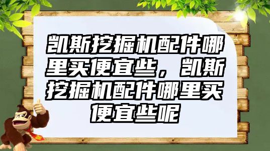 凱斯挖掘機(jī)配件哪里買便宜些，凱斯挖掘機(jī)配件哪里買便宜些呢