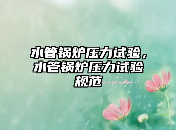 水管鍋爐壓力試驗，水管鍋爐壓力試驗規(guī)范