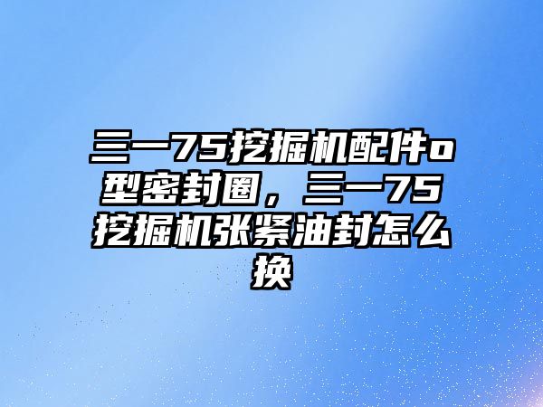 三一75挖掘機(jī)配件o型密封圈，三一75挖掘機(jī)張緊油封怎么換