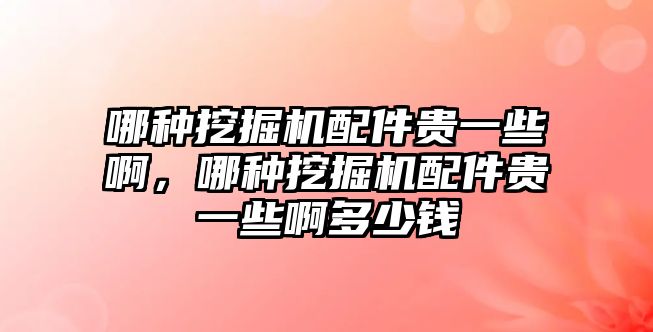 哪種挖掘機(jī)配件貴一些啊，哪種挖掘機(jī)配件貴一些啊多少錢