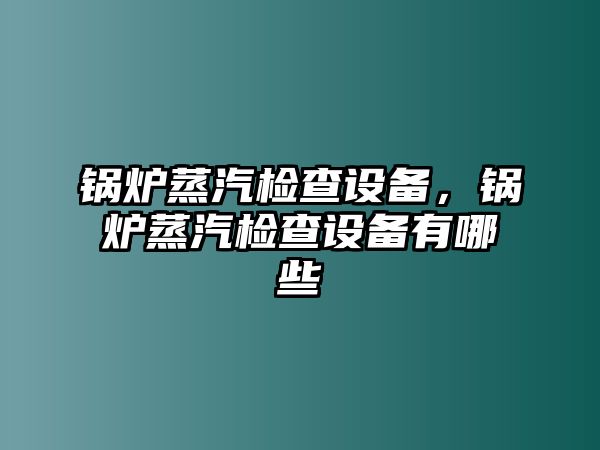 鍋爐蒸汽檢查設備，鍋爐蒸汽檢查設備有哪些