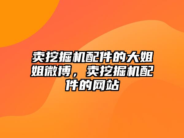 賣挖掘機配件的大姐姐微博，賣挖掘機配件的網站