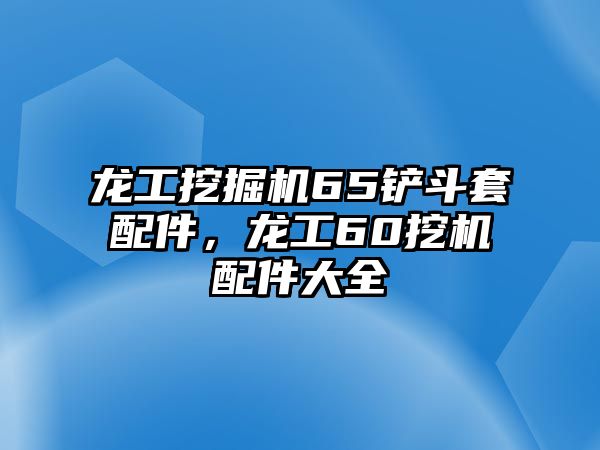 龍工挖掘機(jī)65鏟斗套配件，龍工60挖機(jī)配件大全