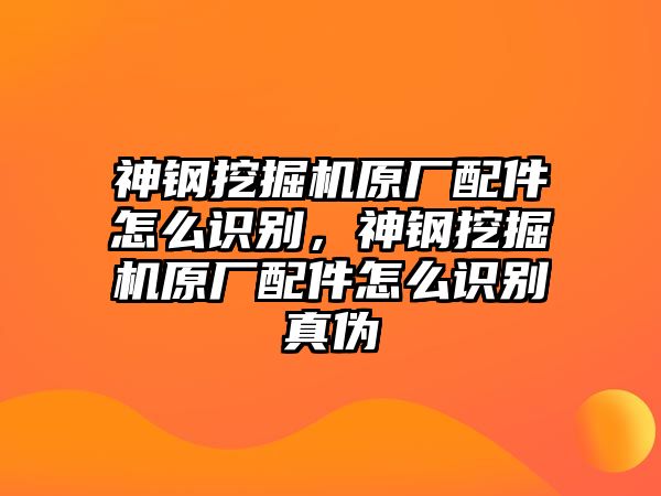 神鋼挖掘機(jī)原廠配件怎么識(shí)別，神鋼挖掘機(jī)原廠配件怎么識(shí)別真?zhèn)?/>	
								</i>
								<p class=